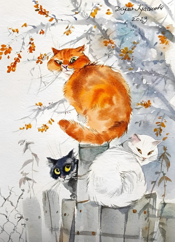 499861483-2477591595919889-8977559771952616240-n