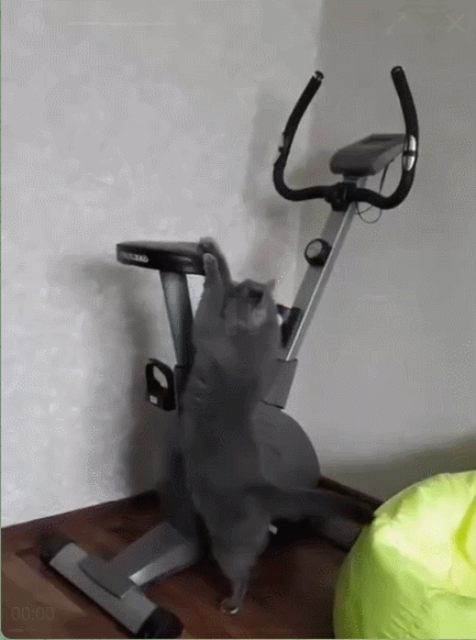 006.gif