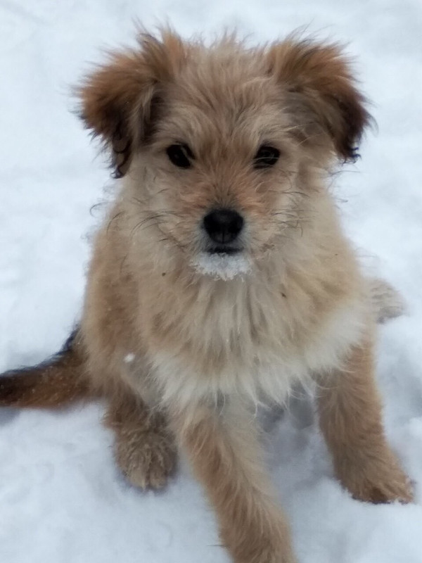 50BFDE99-D5A2-414E-9931-7CD196927694