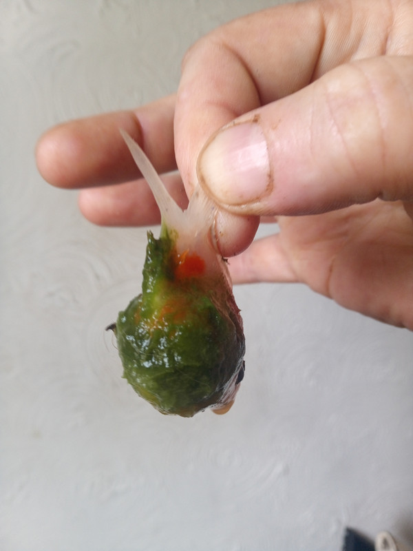 IMG_20240716_143942_817