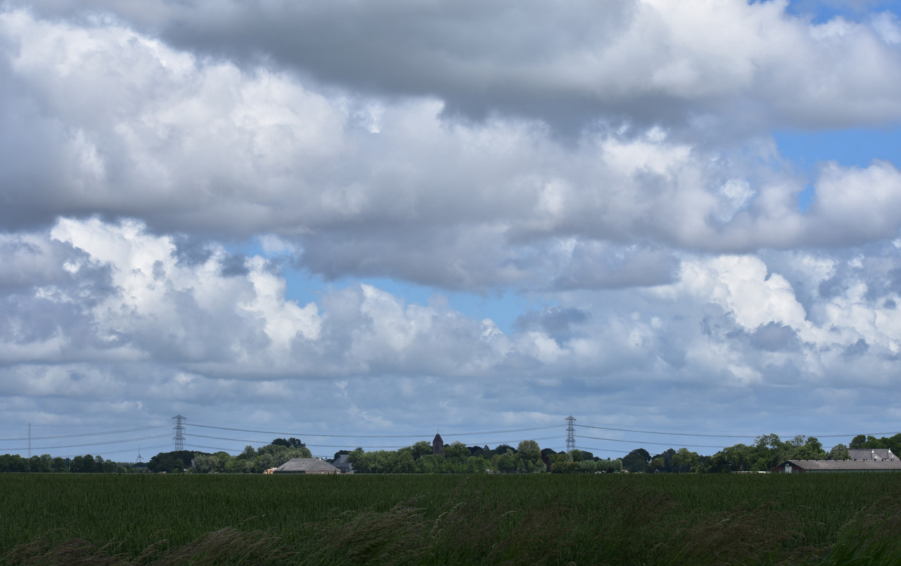 DSC_0014AMB 13-6-22
