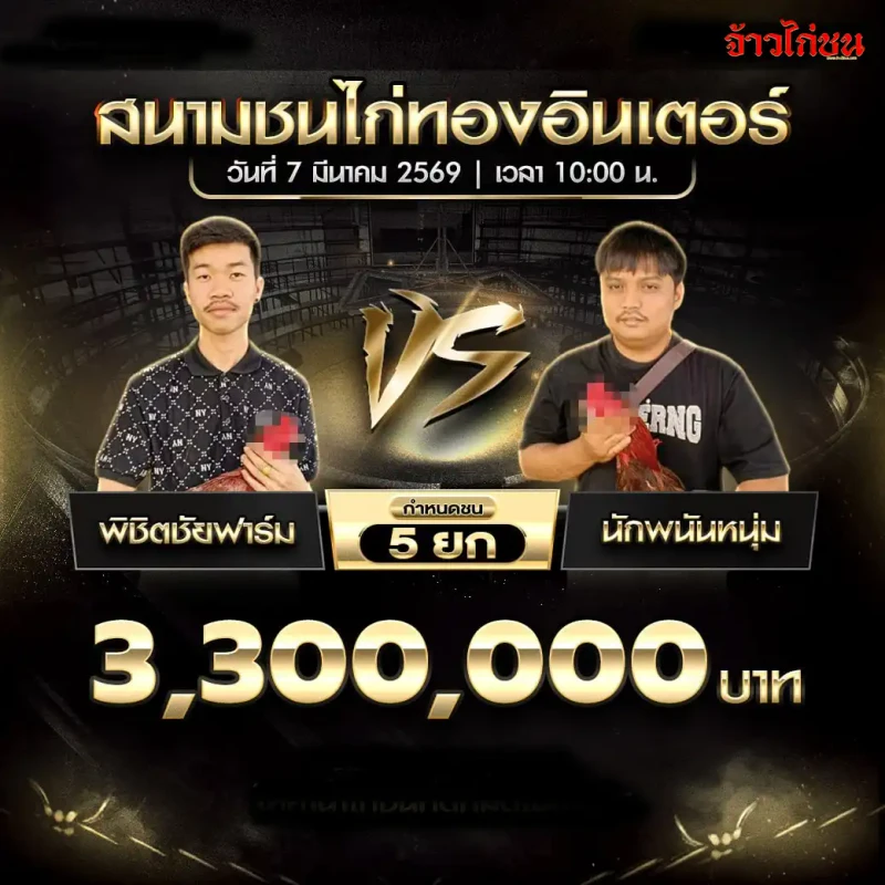 โปรแกรมไก่ชน พิชิตชัยฟาร์ม พบ ยังไม่ระบุคู่ชน สนามชนไก่ทองอินเตอร์ วันที่ 7 มีนาคม 2569