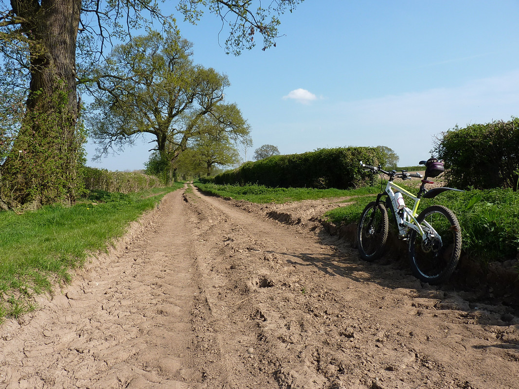 Dry and dusty along this bit