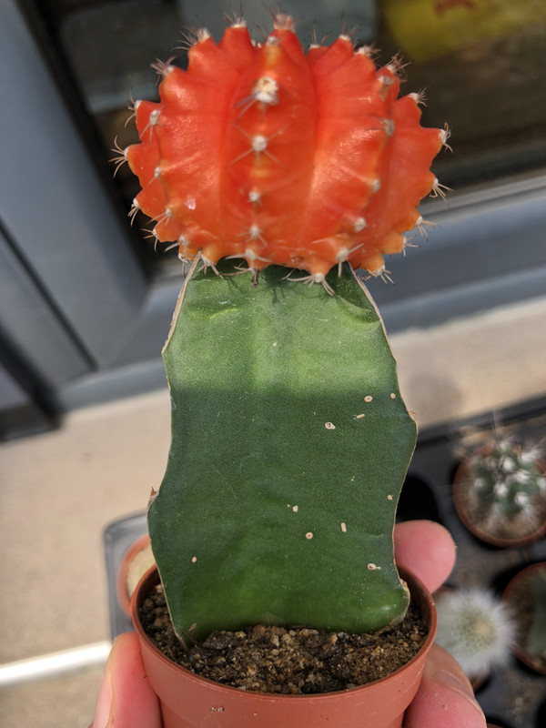 6588D3C6-5EF7-4EA6-A2EB-64CF107FDF86