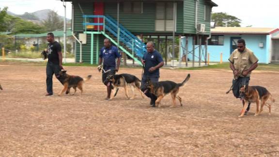 The Connection Between Dog and Handler