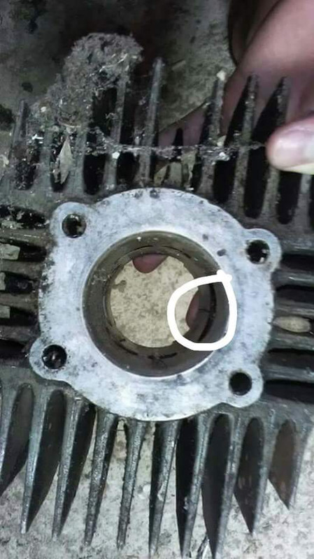 received_1976379719247702