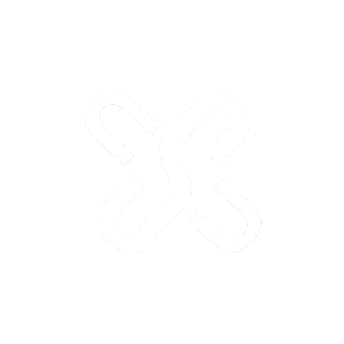 SankiiX Group Logo