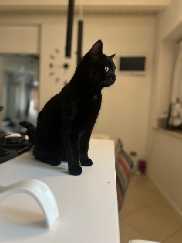 97499E9E-CD91-4701-930D-CDCEDE2B4C62