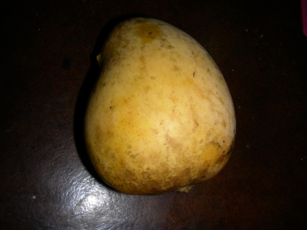 DSCN2882