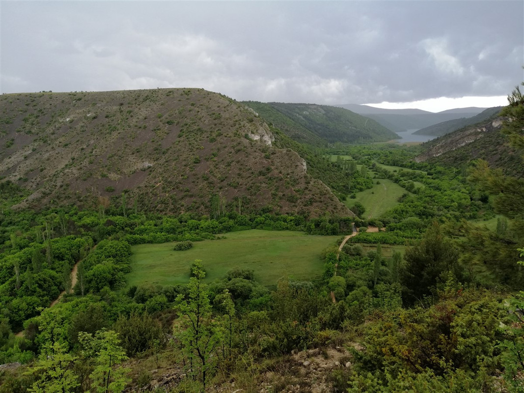 IMG_20200502_123310