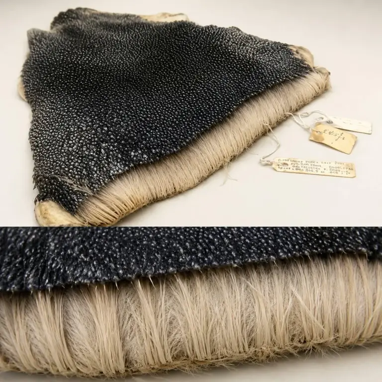 penguin-feathers