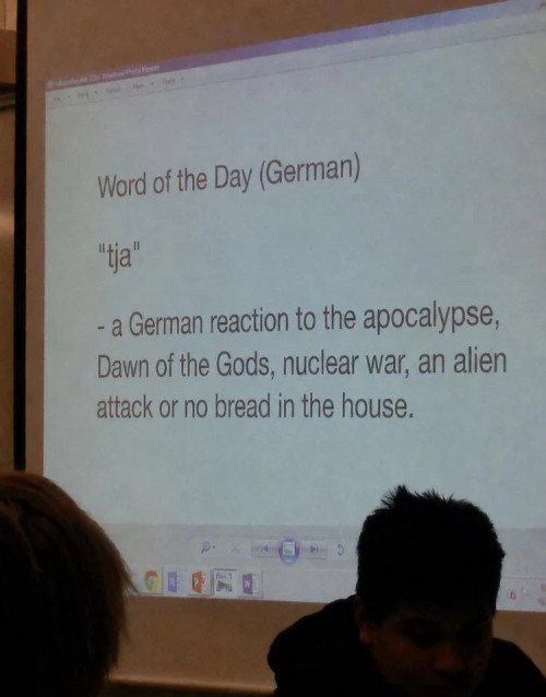 thumbs-picdump978-030.jpg