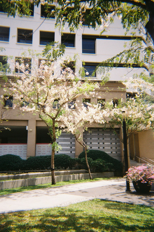 Kodak-Gold-02-resized