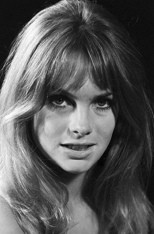 jean_shrimpton_md66