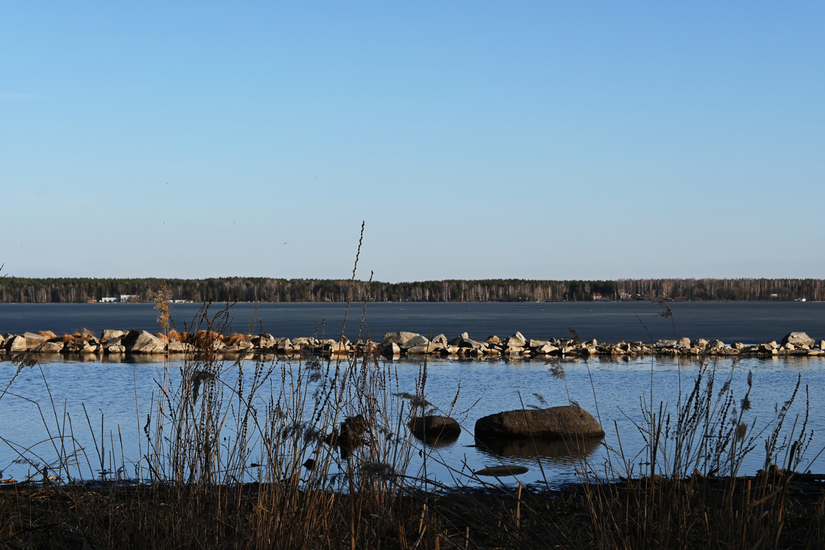DSC-5571.jpg