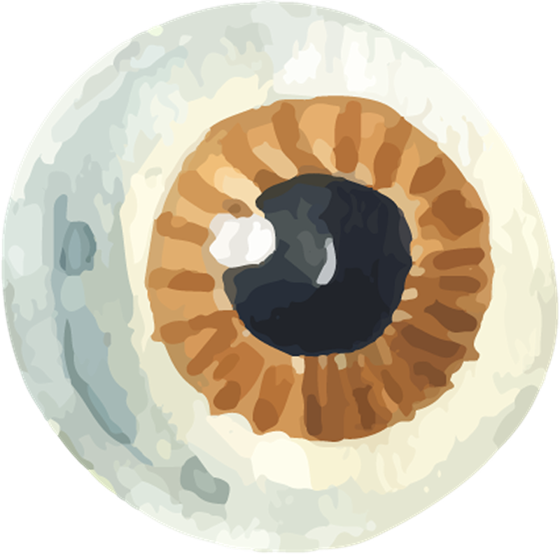 IPD_WP_Element (120)