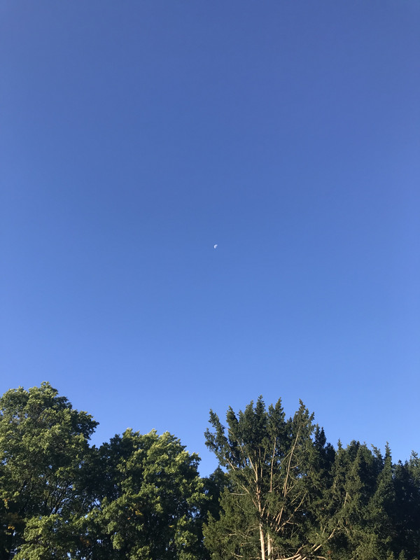 B0F46CAC-EC1B-4644-8101-30B2A9EABA6D