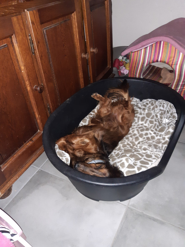 [Image: 20200731-164647.jpg]