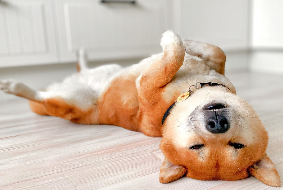 182B06B0-AEEF-4D05-B58F-3ECB006270E7