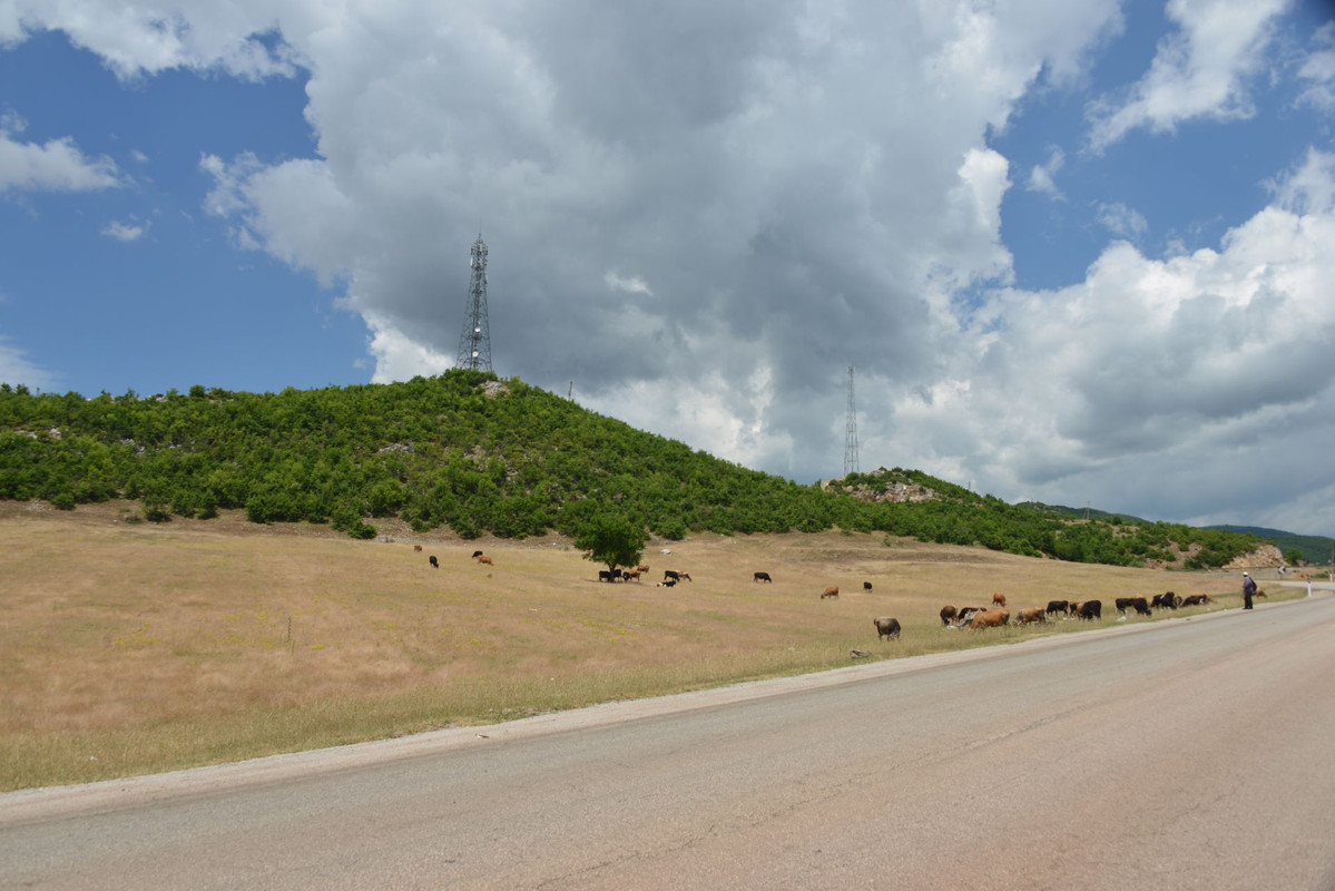 DSC-9013.jpg