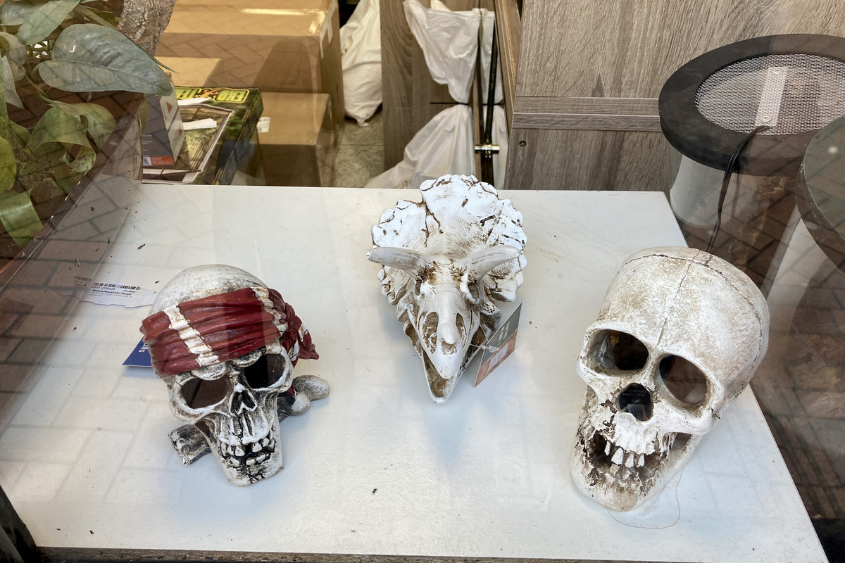 E21CF22E-00BD-4133-AABE-958C5F08F6EB