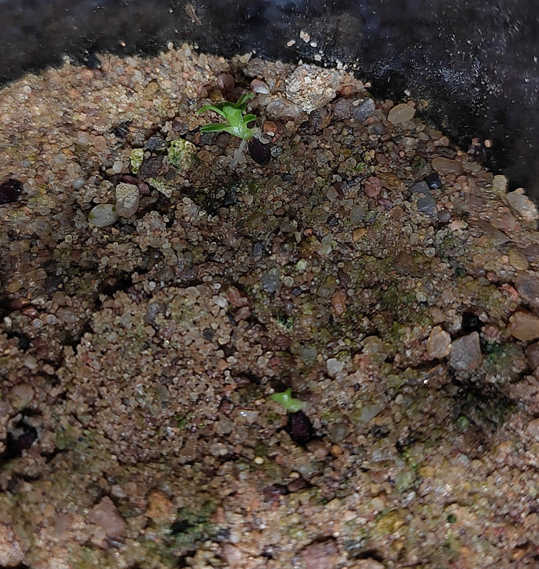 IMG_20250511_091910_02