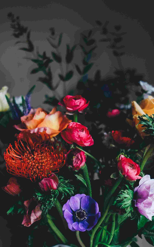 flower images p-photos free lr background image download precap