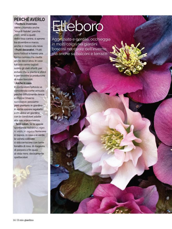 Il Mio Giar Dic 2022-Gen 2023 (1)