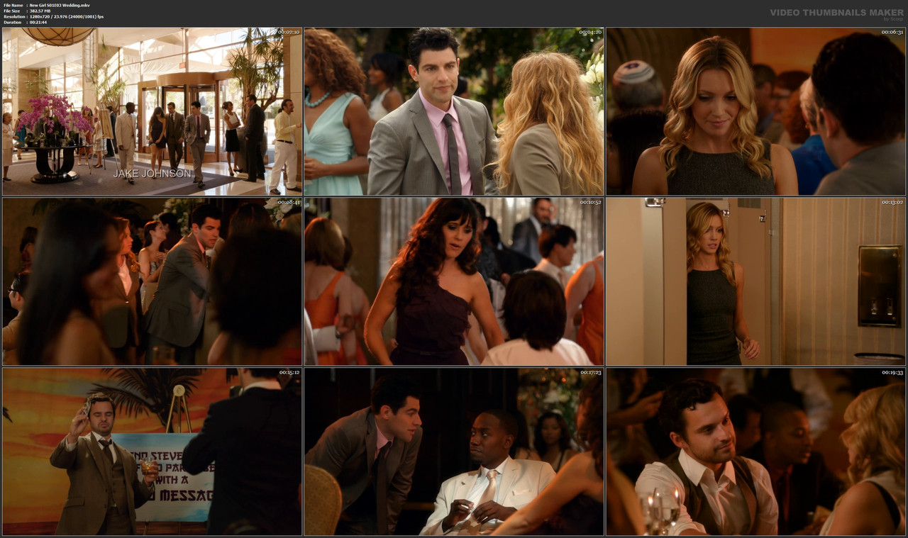 New Girl S01E03 Wedding.mkv