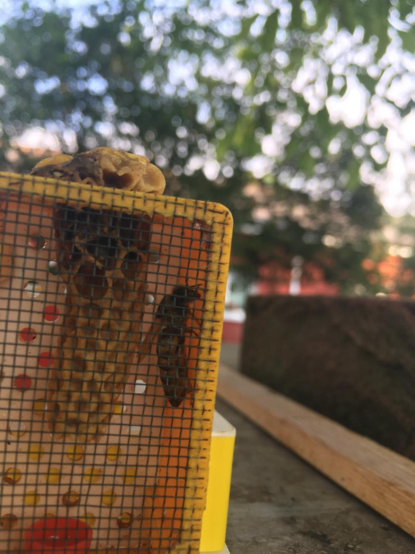 EC361B8F-F7E3-44C9-A072-67926AF4386C