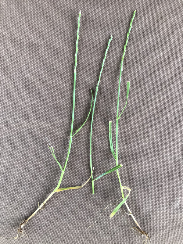 992C815C-52FC-4435-BDF2-F6BAFC7ABD00