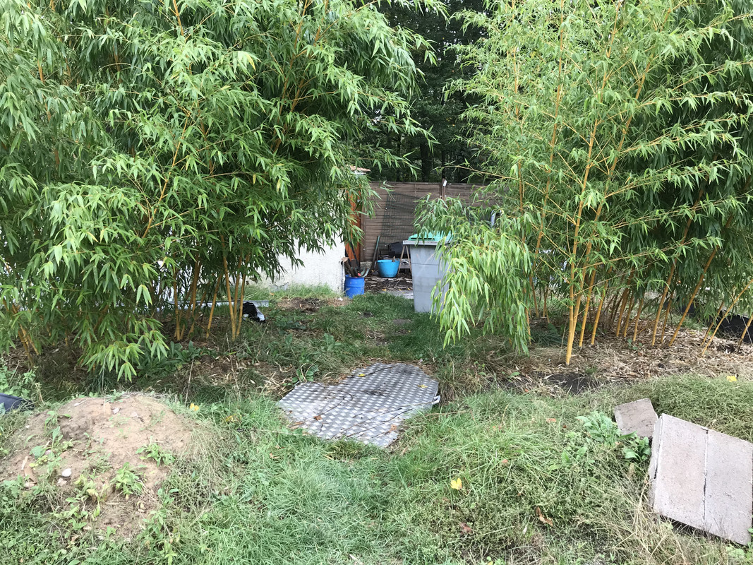 42EDD738-BFD1-42E2-9675-5E3A9FCD6A5E