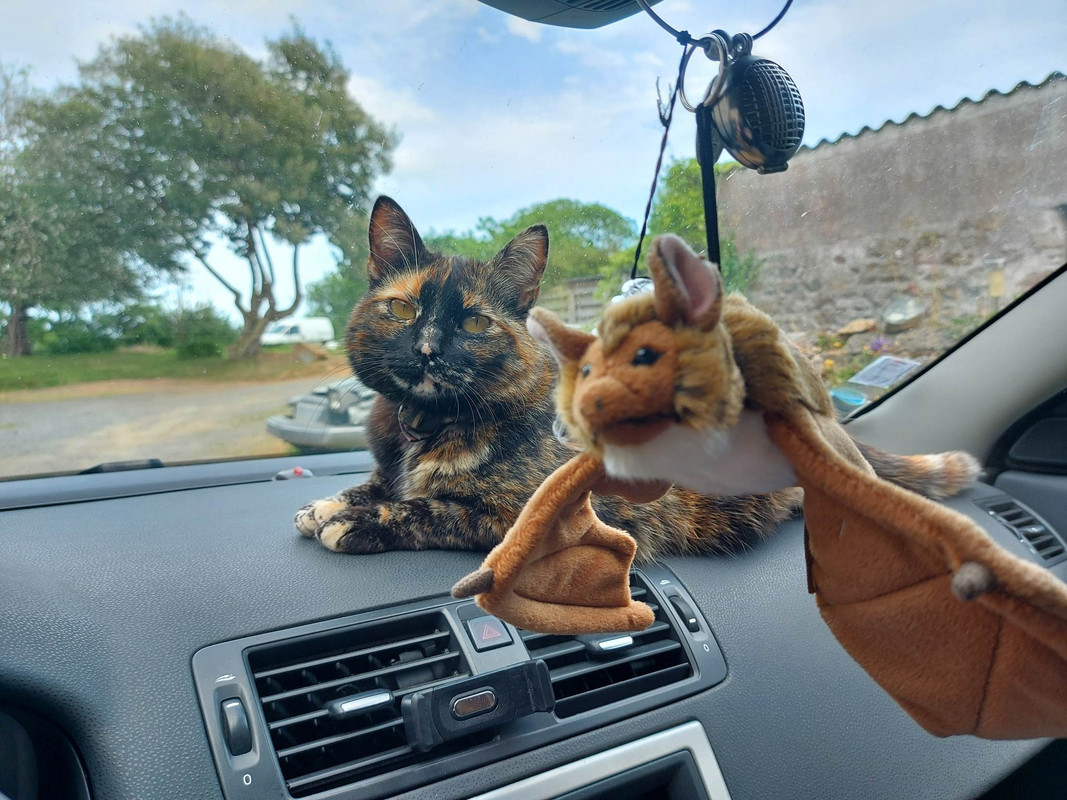 received_663516308458542