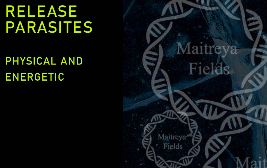 [Maitreya Fields] DM: Release Parasites | Освободите паразитов - Физических и Энергетических