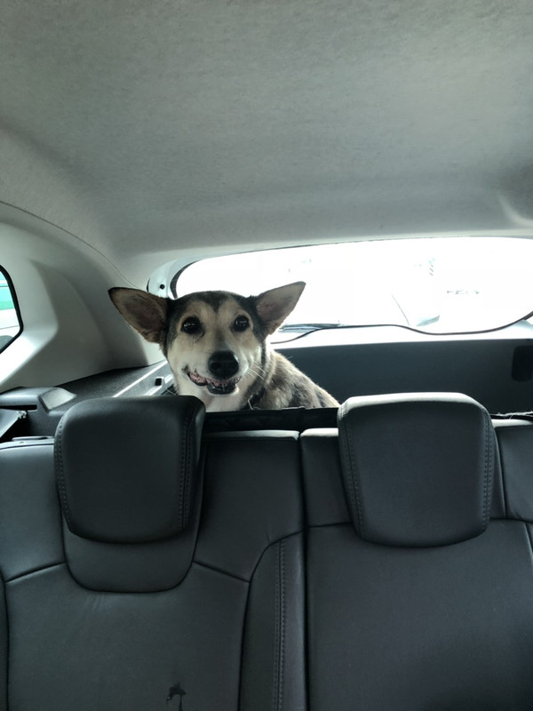 Марта едет в вильнюс2