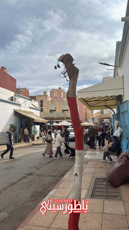 IMG-20250111-WA0007