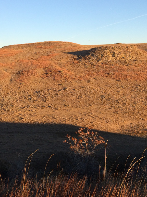 AA959BC7-28DD-4A5A-A454-0C32181D961D