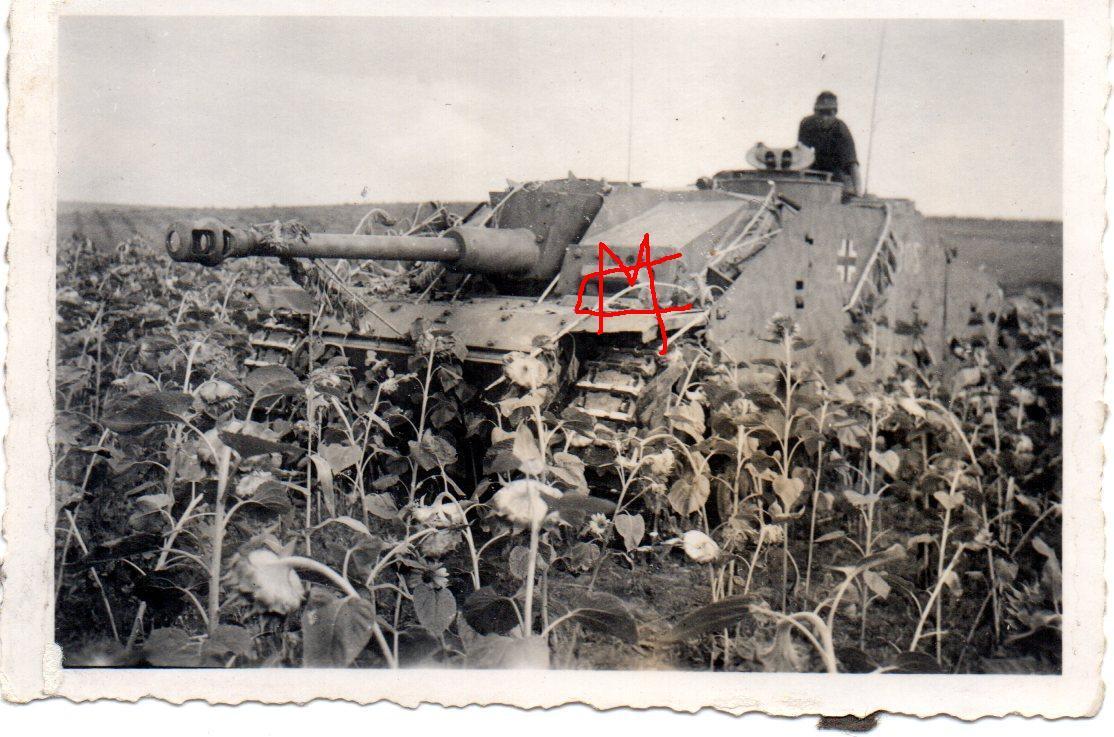 Orig.foto Deutsche Sturmgeschütz Langrohr an der Ostfront 1944
