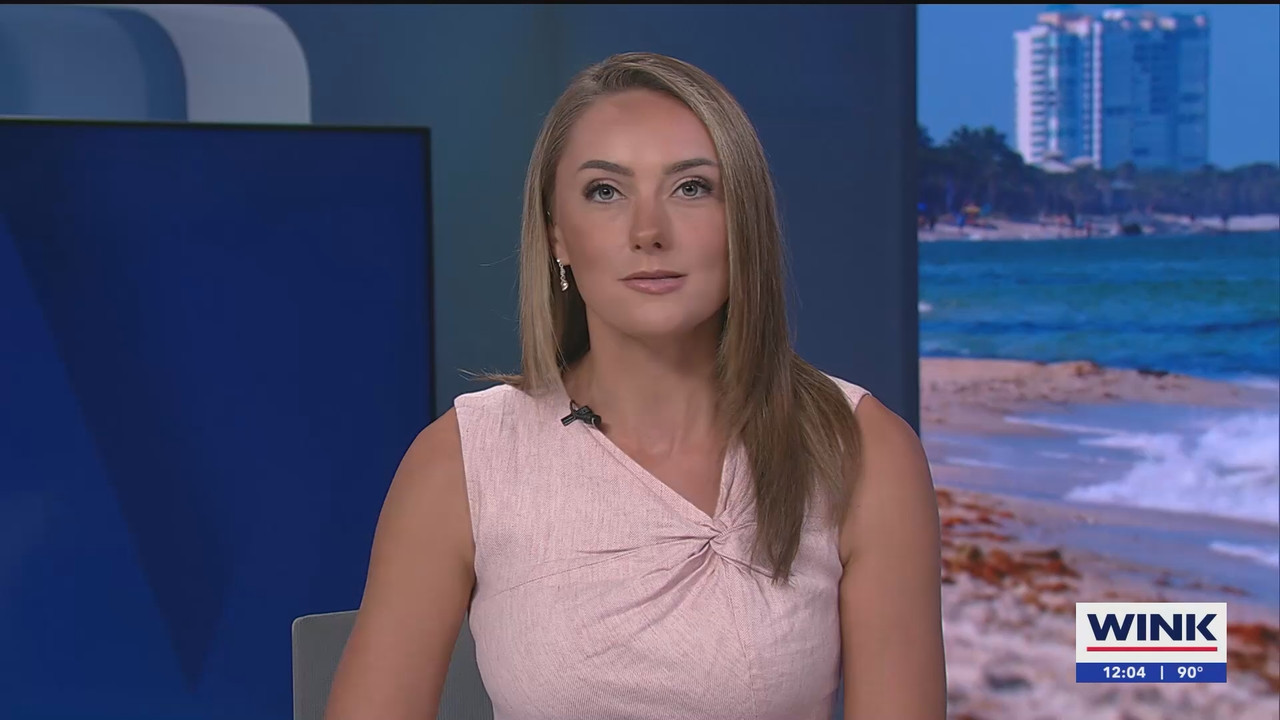 08.13 - 17.00.00 - The WINK Noon News  ᴺᵉʷ. Midday news update..ts_snapshot_10.56.072