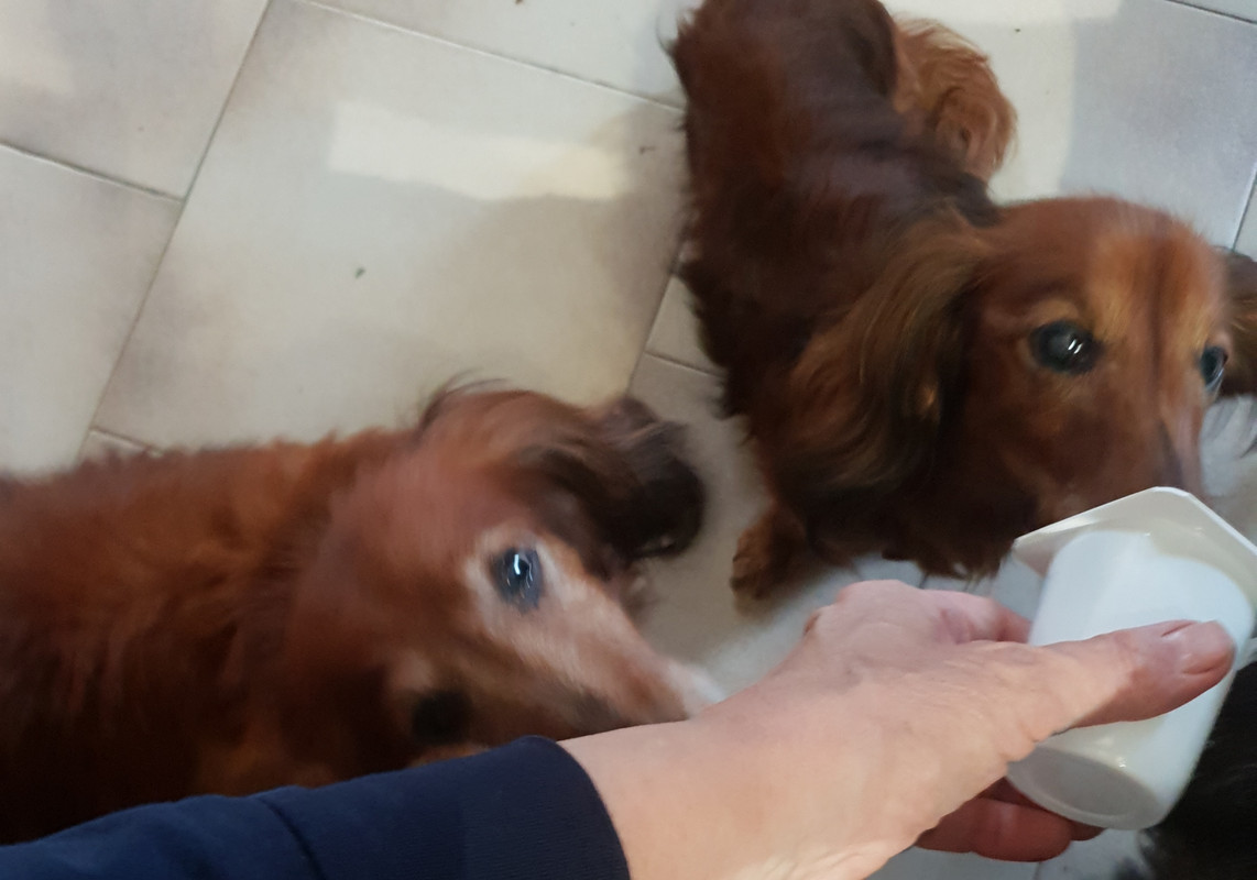 [Image: 20210127-101016.jpg]