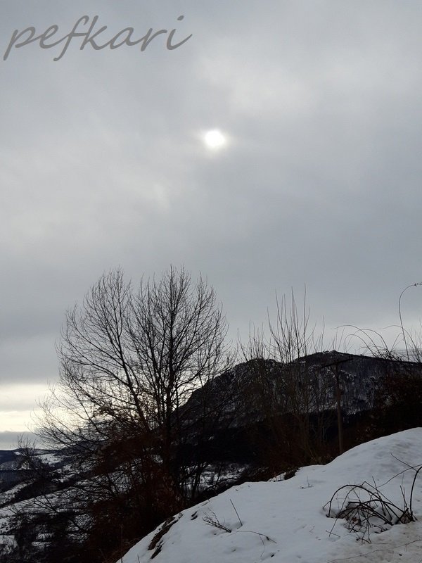 Slika