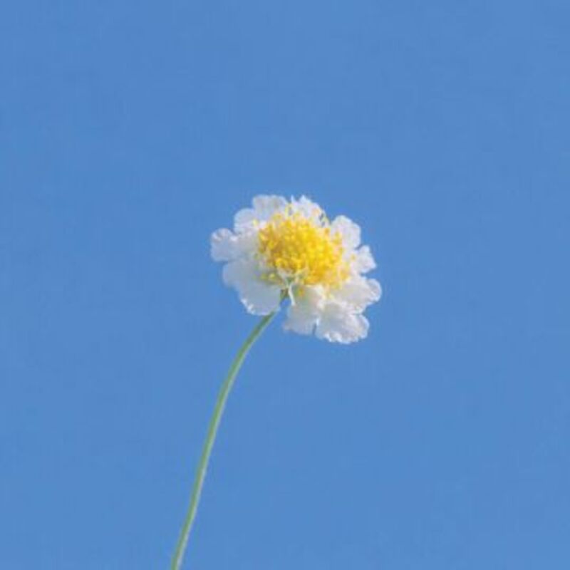 Run it up - YEOONE (여원) ALBUM COVER