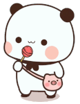 IMG-6911.gif