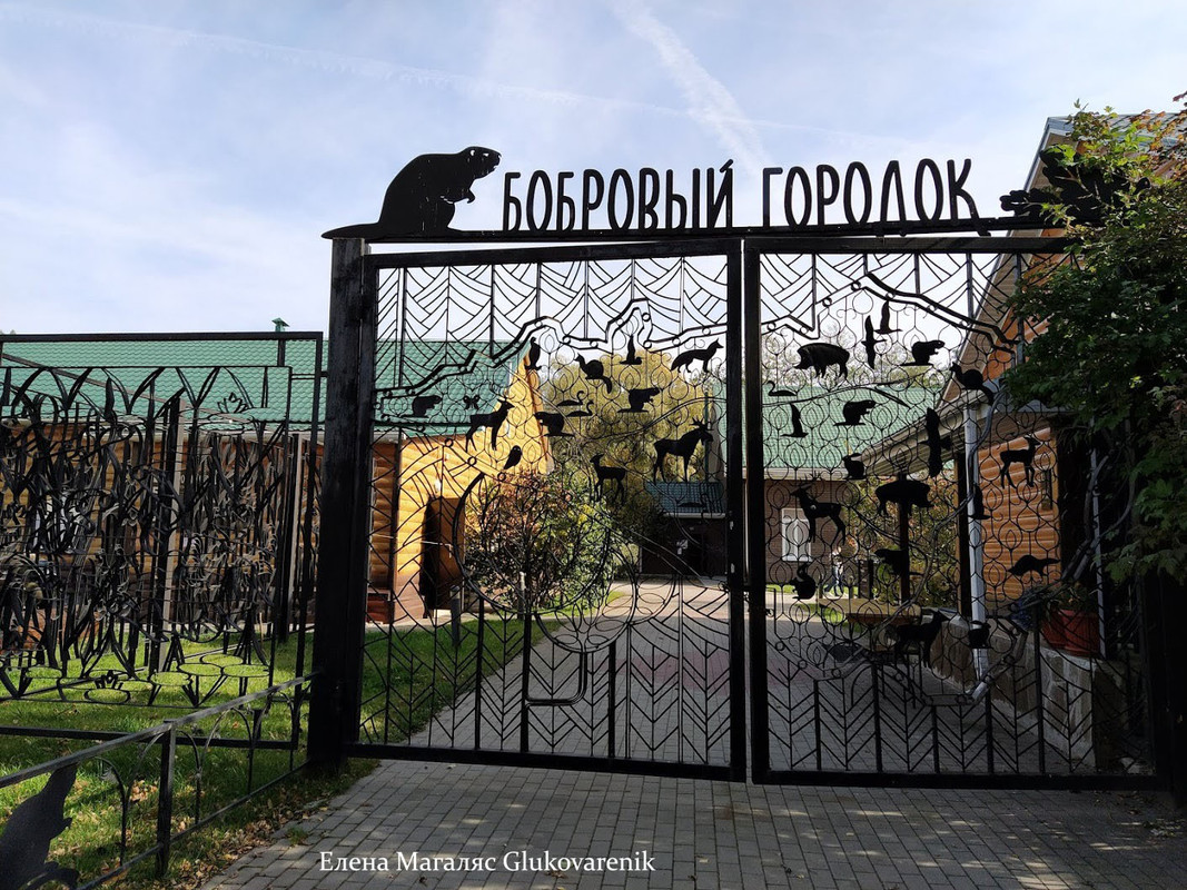 Бобры добры! Бобры добры!