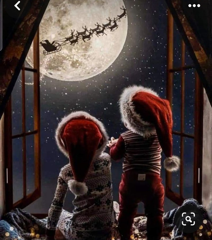 Screenshot_20231211_193143_Pinterest