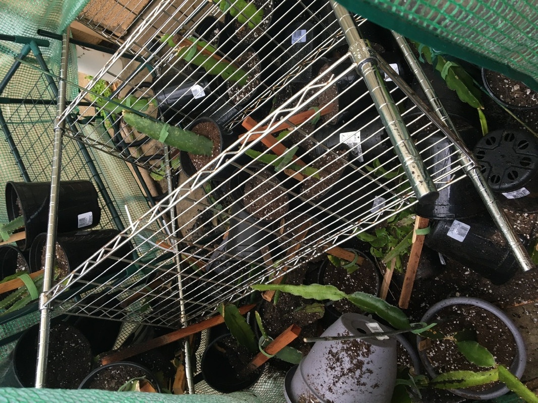 167BAAF3-B949-4BA5-AA11-355D7E9F38A0