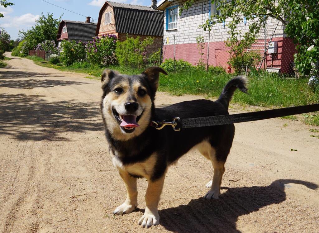 7C3D678A-15C7-4BC8-A7E5-5AD19550F14D