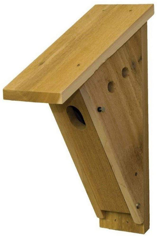 1A0E1A88-304C-4A3C-AF3F-18C66439F75A