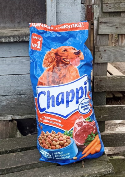 ������ ������ ��� ��������