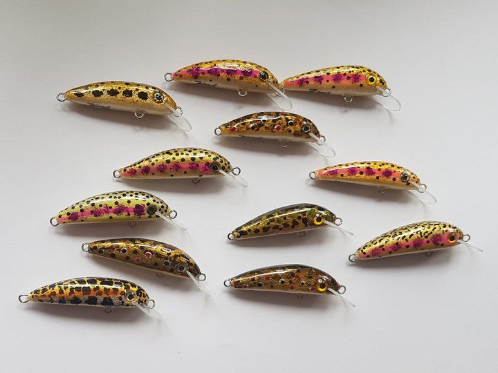 172231797-1899283883571116-2662226898028